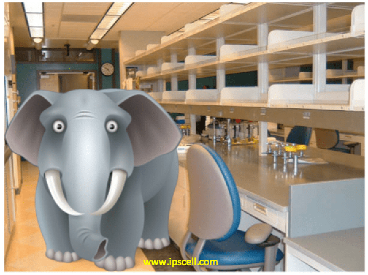 elephant in the lab, science lab, research lab