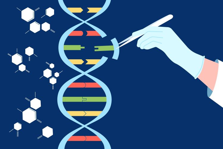 First CRISPR-based gene-editing therapy authorised by MHRA