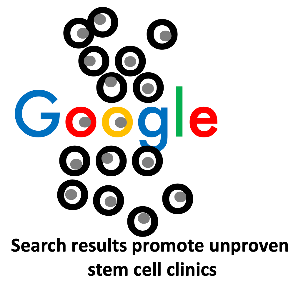 stem cells Google