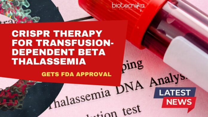 CRISPR Therapy For Transfusion-Dependent