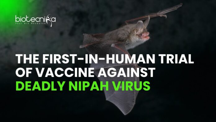 First in-Human Trial of Nipah Virus Vaccine