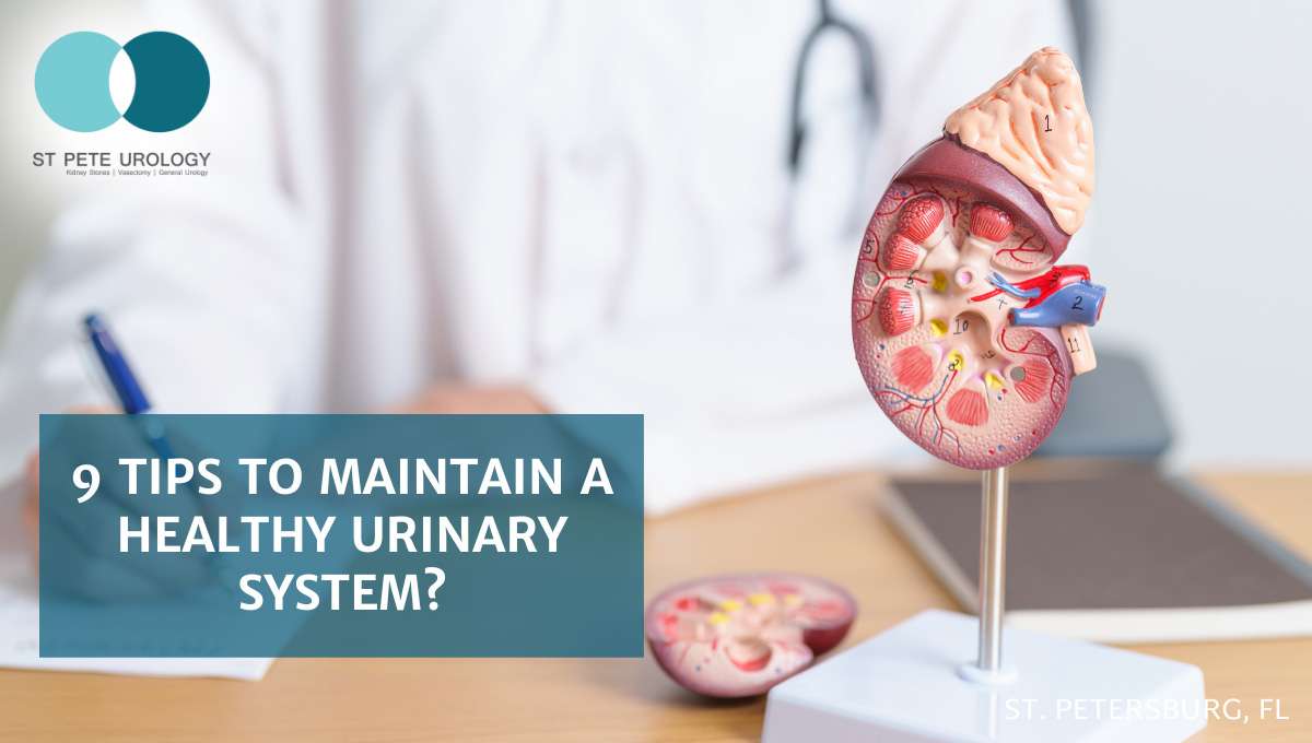 9 Tips to Maintain a Healthy Urinary System?