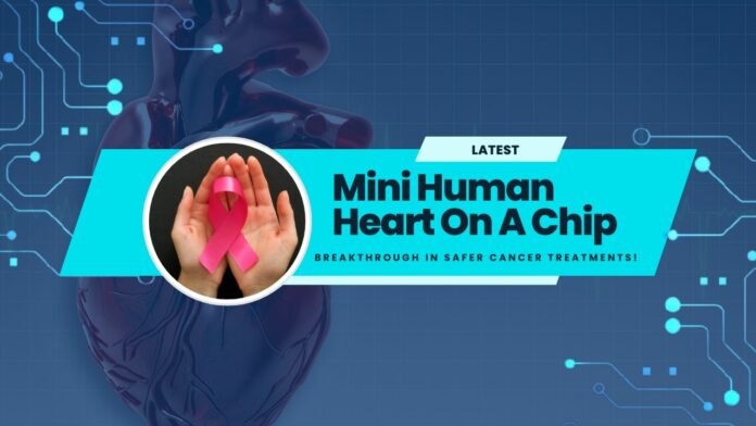 Mini Human Heart On A Chip