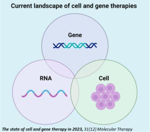 Cell Gene Therapy Manufacturing