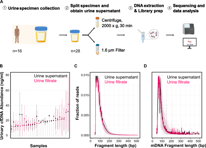 A Quantitative Comparison Of Urine Centrifugation And Filtration For The Isolation And Analysis Of Urinary Nucleic Acid Biomarkers - Scientific Reports - Renal.PlatoHealth.ai