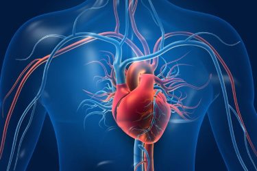 Cell therapy could help curb progression of heart failure