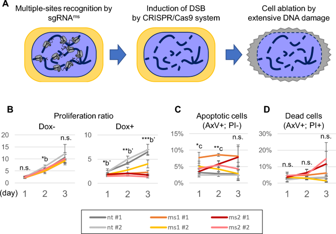 Generating an organ-deficient animal model using a multi-targeted CRISPR-Cas9 system - Scientific Reports