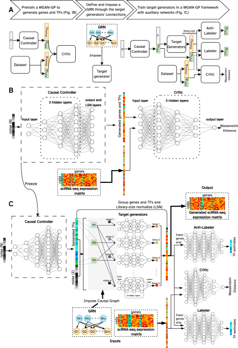 GRouNdGAN: GRN-guided simulation of single-cell RNA-seq data using causal generative adversarial networks - Nature Communications