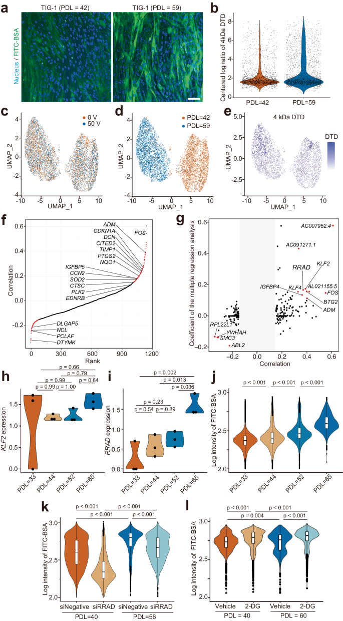 High-throughput mechanical phenotyping and transcriptomics of single cells - Nature Communications