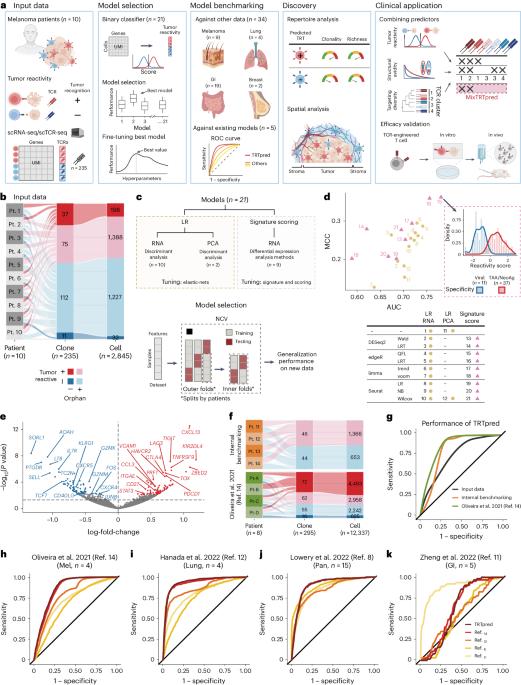 Identification of clinically relevant T cell receptors for personalized T cell therapy using combinatorial algorithms - Nature Biotechnology