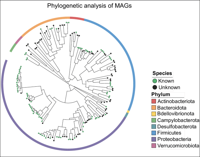 Metagenomics datasets of water and sediments from eutrophication-impacted artificial lakes in South Africa - Scientific Data