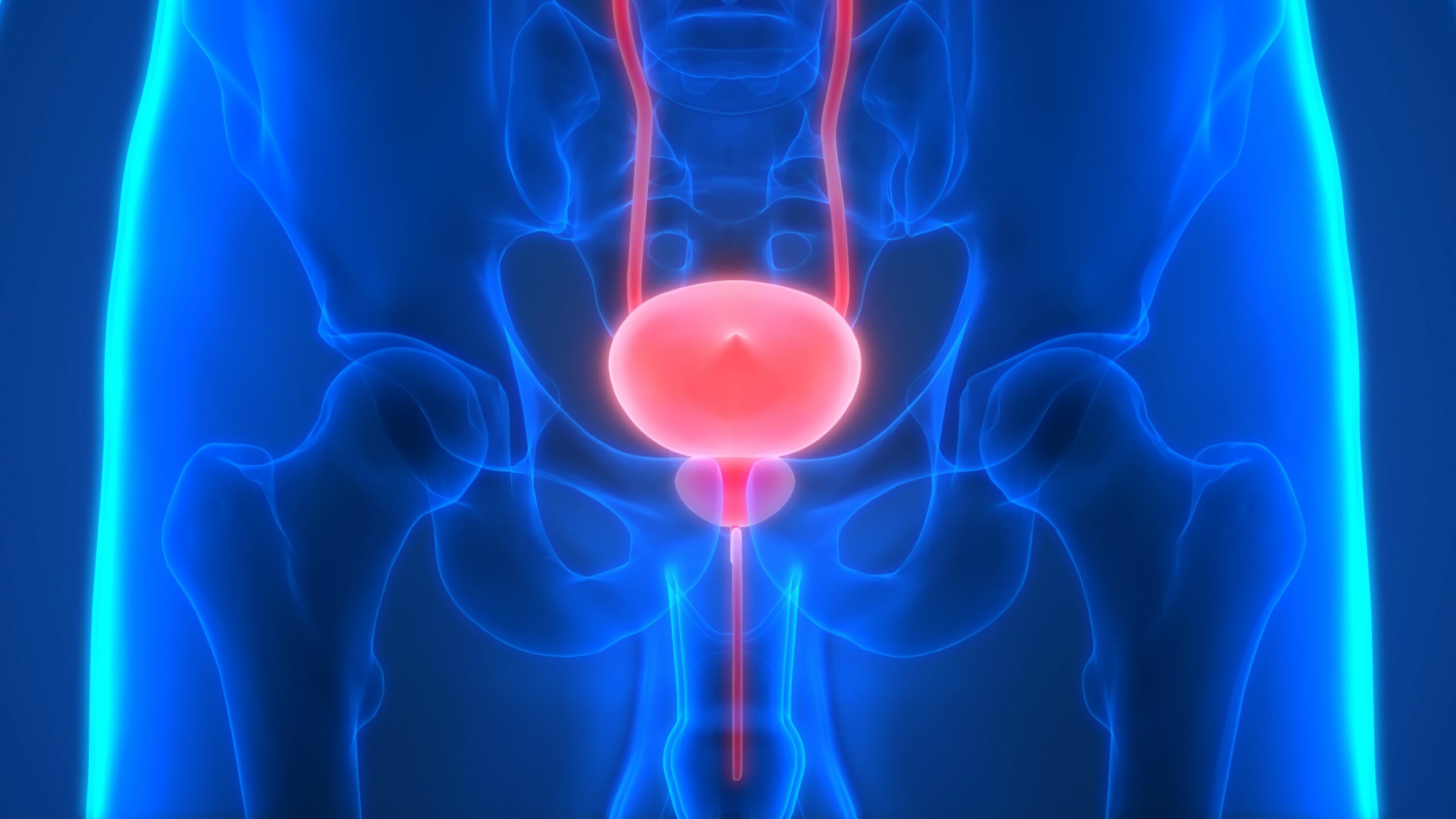 Novel Therapy Achieves Durable Complete Response Rate Treating High-Risk Bladder Cancer in Phase II Trial