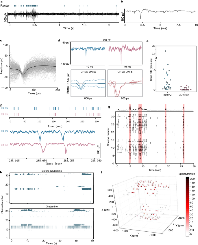 Three-dimensional liquid metal-based neuro-interfaces for human hippocampal organoids - Nature Communications