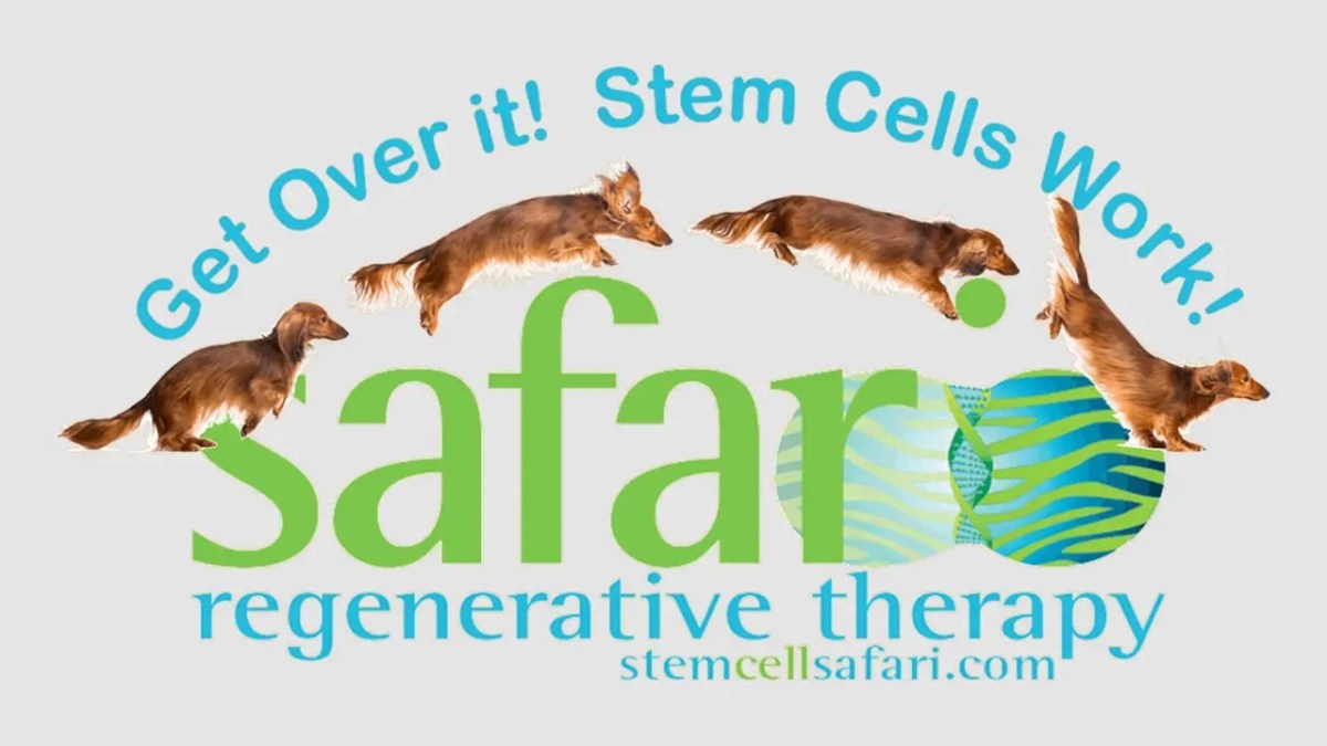 Safari Stem Cell, stem cells for pets